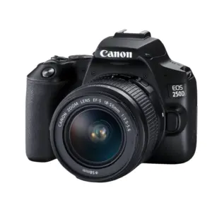 Canon EOS 250D DSLR Camera with EF-S 18-55mm IS STM Lens - 24.1MP, 4K Video