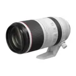 Canon RF 100-500mm f/4.5-7.1 L IS USM Super-Telephoto Zoom Lens