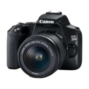 Canon EOS 250D DSLR Camera with EF-S 18-55mm IS STM Lens - 24.1MP, 4K Video
