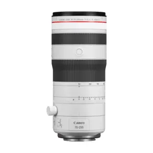 Canon RF 70-200mm f/2.8 L IS USM Telephoto Zoom Lens