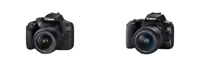 Canon DSLR cameras