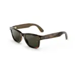 Ray-Ban Meta Wayfarer (Gen 3) AI glasses in Havana / Green - angled view showing the frame and temple.